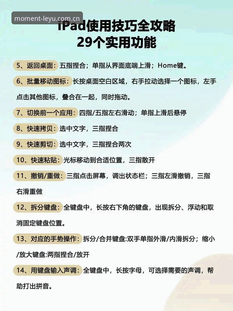 看准此刻登场首页安全吗 乐鱼体育平台使用教程:从下载到数据同步的完整操作指南